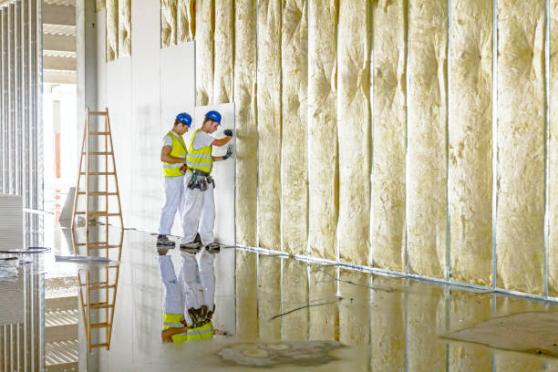 Best Basement Insulation  in USA